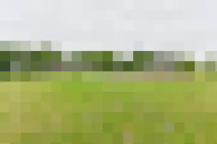 Dorpsstraat 1 Bronnegerveen thumbnail 101