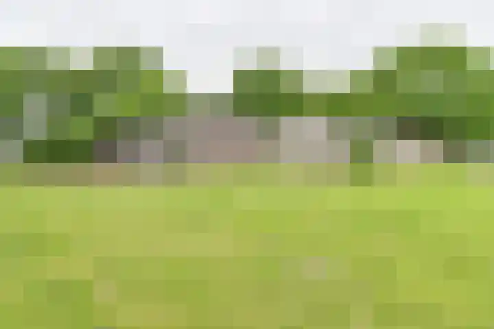 Dorpsstraat 1 Bronnegerveen thumbnail 102