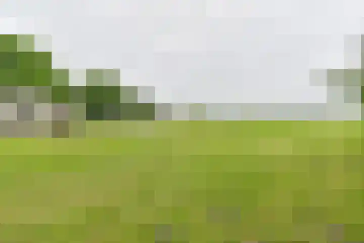 Dorpsstraat 1 Bronnegerveen thumbnail 103