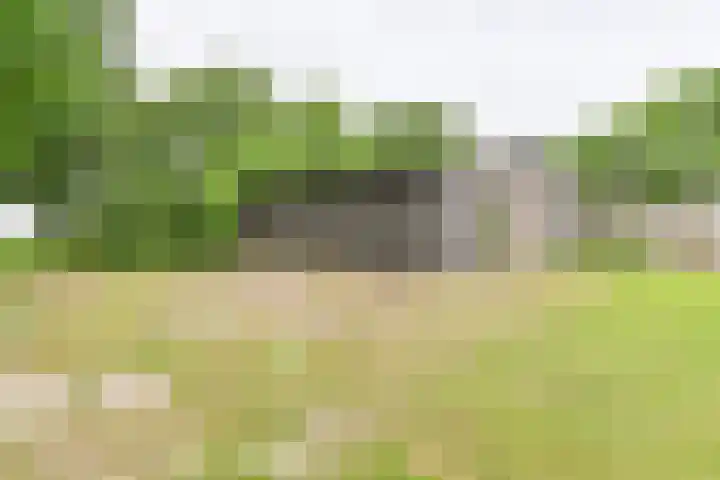 Dorpsstraat 1 Bronnegerveen thumbnail 104