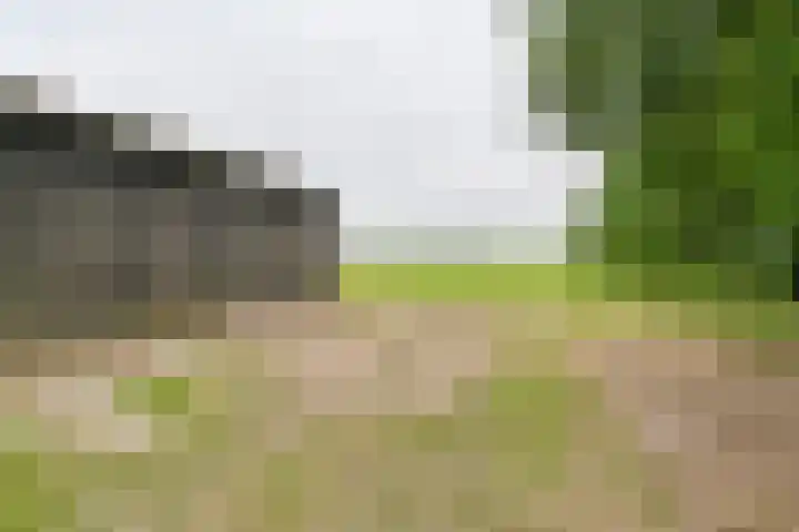 Dorpsstraat 1 Bronnegerveen thumbnail 105