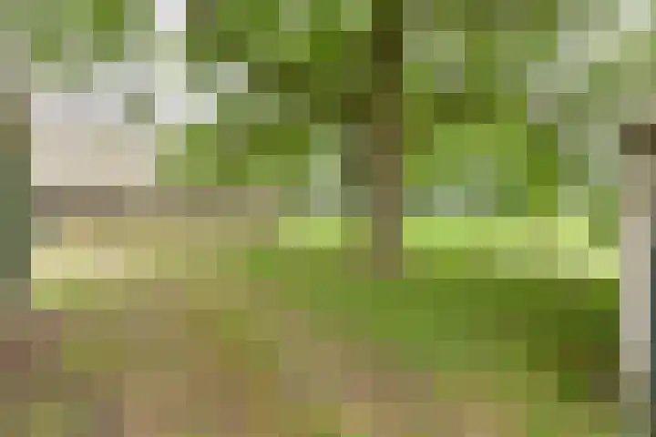 Dorpsstraat 1 Bronnegerveen thumbnail 107