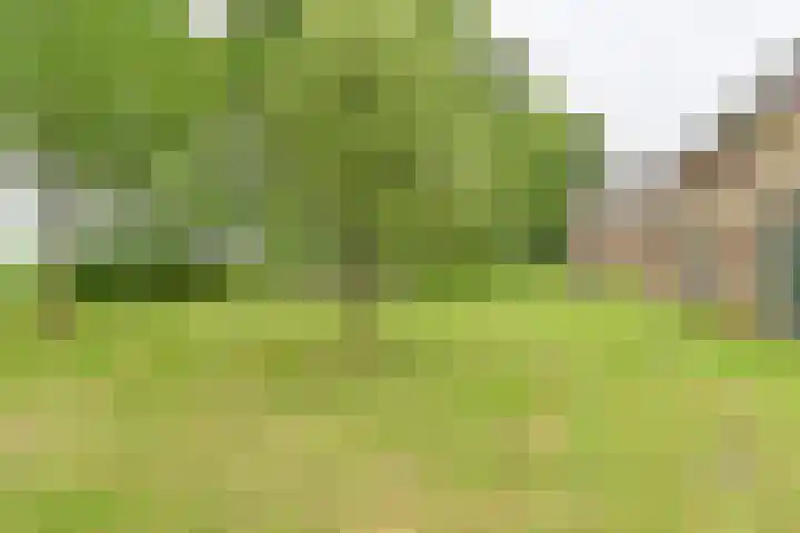 Dorpsstraat 1 Bronnegerveen thumbnail 11