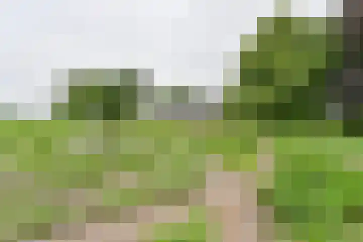 Dorpsstraat 1 Bronnegerveen thumbnail 110