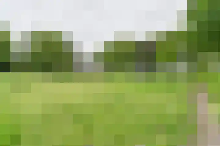 Dorpsstraat 1 Bronnegerveen thumbnail 111