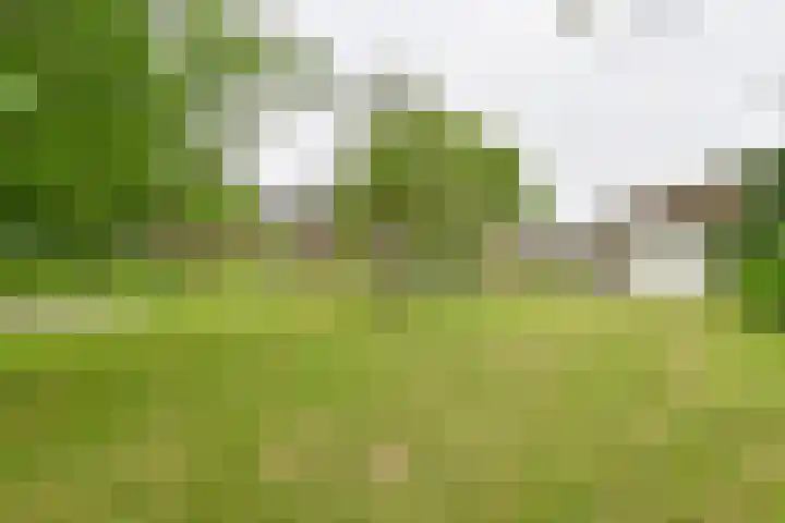 Dorpsstraat 1 Bronnegerveen thumbnail 112