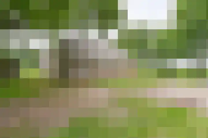 Dorpsstraat 1 Bronnegerveen thumbnail 12