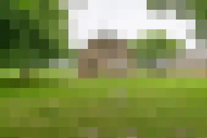 Dorpsstraat 1 Bronnegerveen thumbnail 13