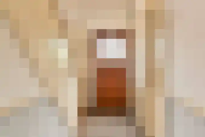 Dorpsstraat 1 Bronnegerveen thumbnail 14