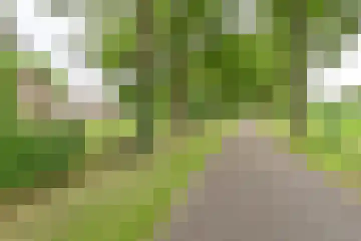 Dorpsstraat 1 Bronnegerveen thumbnail 4