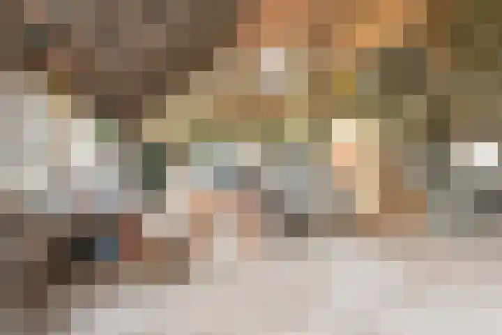 Dorpsstraat 1 Bronnegerveen thumbnail 41