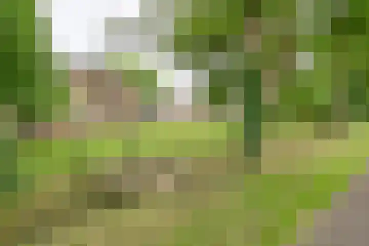 Dorpsstraat 1 Bronnegerveen thumbnail 5