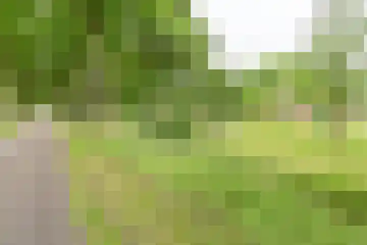 Dorpsstraat 1 Bronnegerveen thumbnail 6