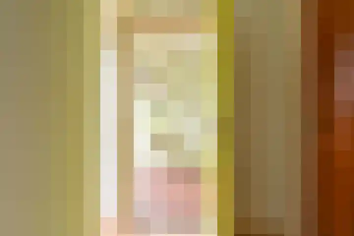 Dorpsstraat 1 Bronnegerveen thumbnail 64