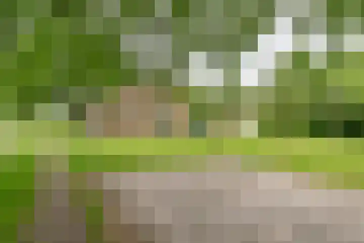Dorpsstraat 1 Bronnegerveen thumbnail 68