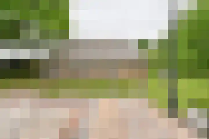 Dorpsstraat 1 Bronnegerveen thumbnail 69