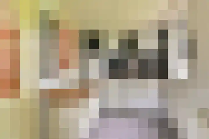Dorpsstraat 1 Bronnegerveen thumbnail 71