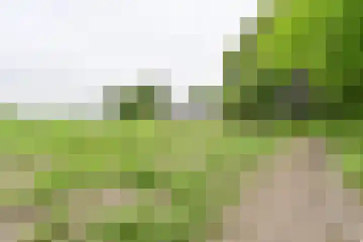 Dorpsstraat 1 Bronnegerveen thumbnail 8