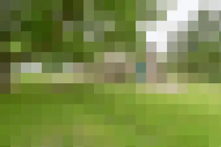 Dorpsstraat 1 Bronnegerveen thumbnail 86