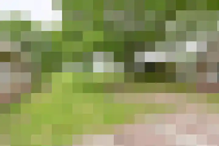 Dorpsstraat 1 Bronnegerveen thumbnail 88