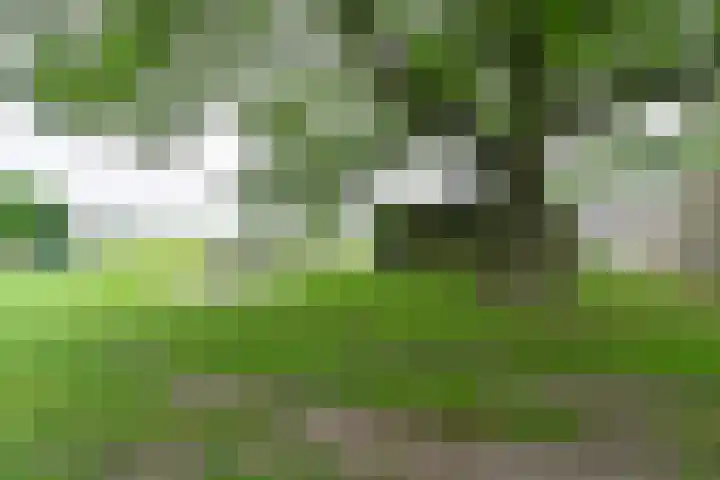 Dorpsstraat 1 Bronnegerveen thumbnail 89