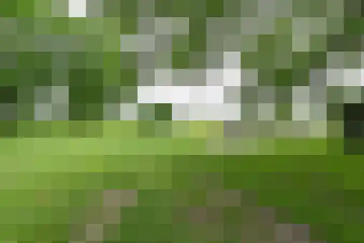 Dorpsstraat 1 Bronnegerveen thumbnail 90