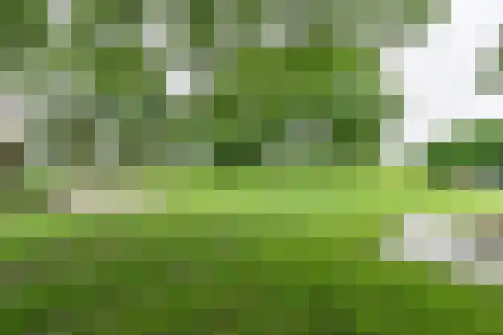 Dorpsstraat 1 Bronnegerveen thumbnail 91