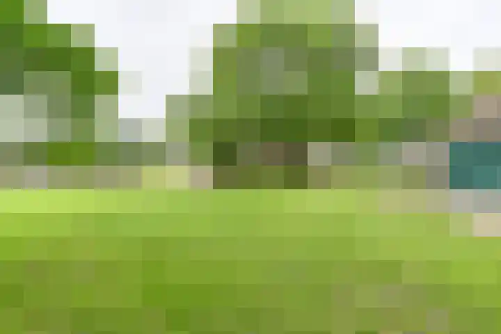 Dorpsstraat 1 Bronnegerveen thumbnail 92