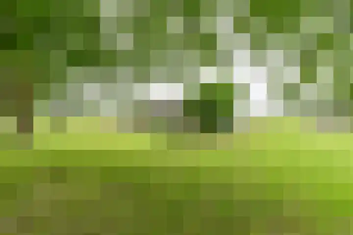 Dorpsstraat 1 Bronnegerveen thumbnail 93