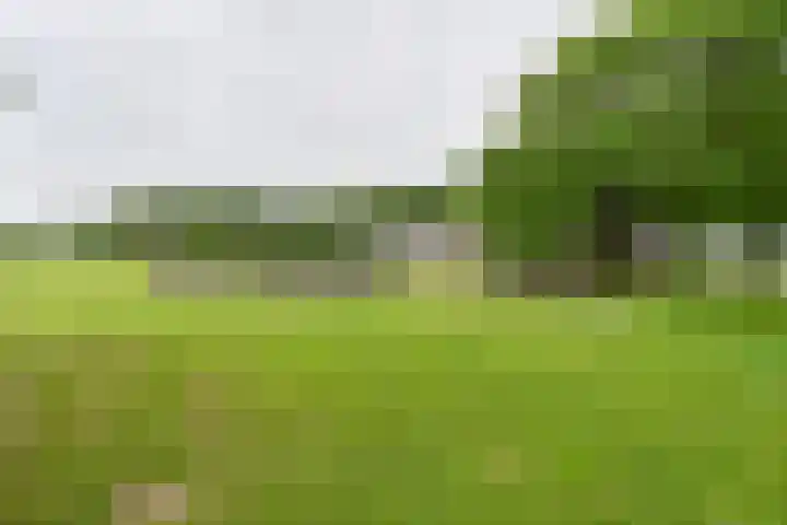 Dorpsstraat 1 Bronnegerveen thumbnail 94