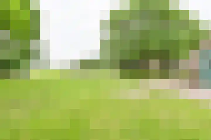 Dorpsstraat 1 Bronnegerveen thumbnail 95
