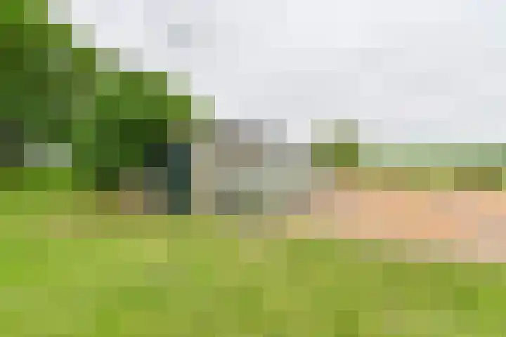 Dorpsstraat 1 Bronnegerveen thumbnail 96