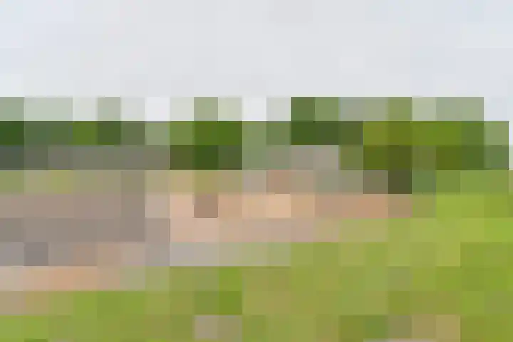 Dorpsstraat 1 Bronnegerveen thumbnail 97