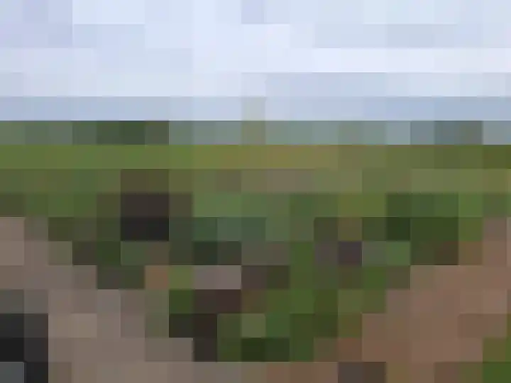 Dorpsstraat 1 Bronnegerveen thumbnail 98