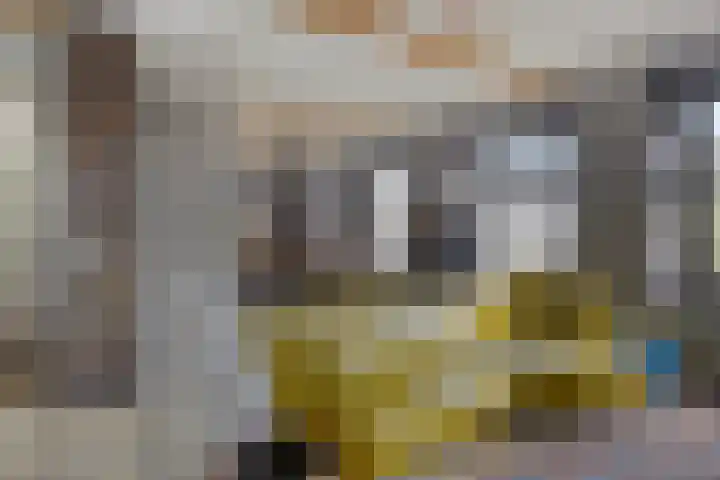 Dorpsstraat 1 Budel thumbnail 19