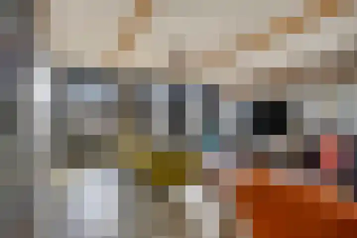 Dorpsstraat 1 Budel thumbnail 20