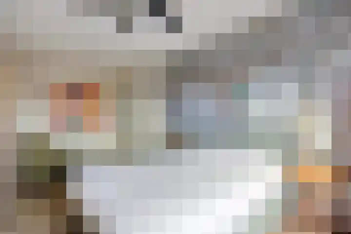 Dorpsstraat 1 Budel thumbnail 28