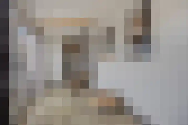 Dorpsstraat 1 Budel thumbnail 29