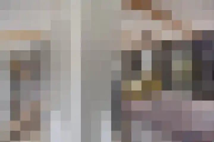 Dorpsstraat 1 Budel thumbnail 30