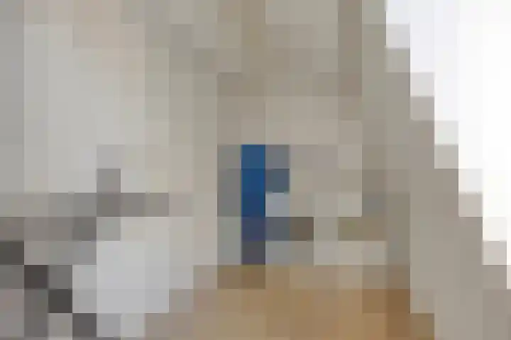Dorpsstraat 1 Budel thumbnail 34