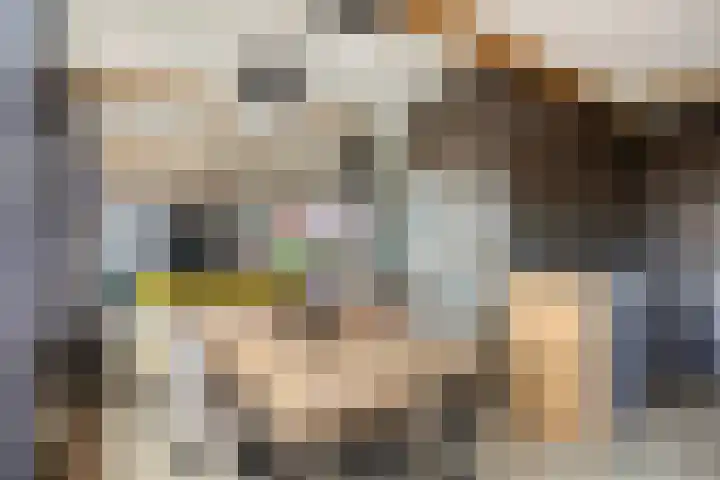 Dorpsstraat 1 Budel thumbnail 4