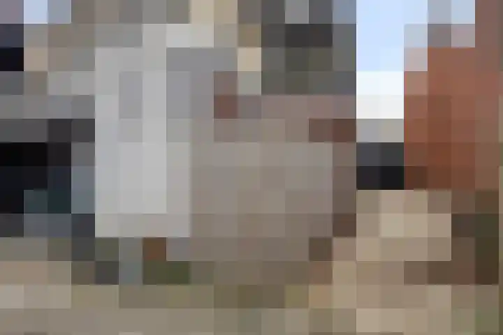 Dorpsstraat 1 Budel thumbnail 44