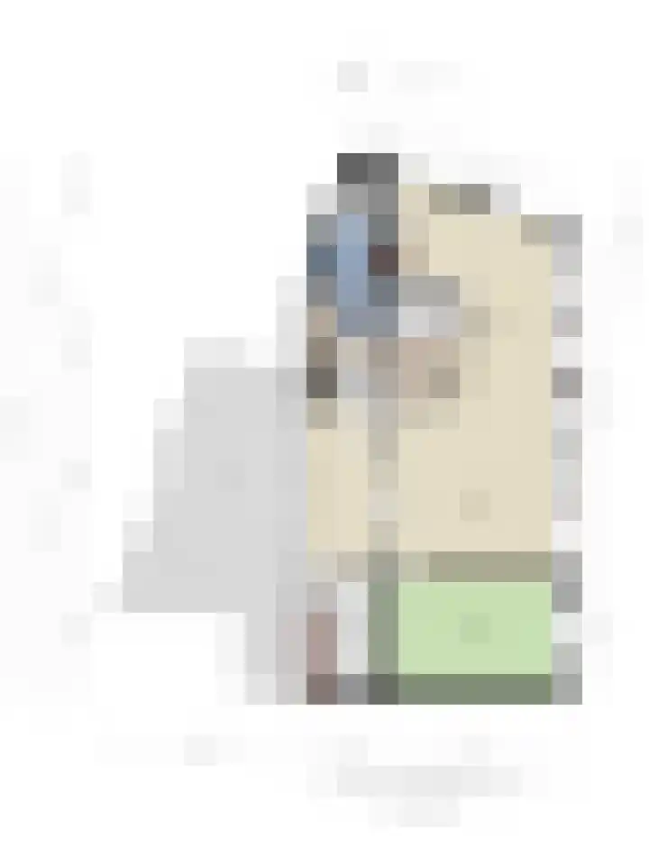 Dorpsstraat 1 Budel thumbnail 46