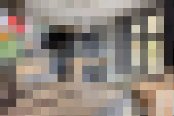 Dorpsstraat 1 Budel thumbnail 5