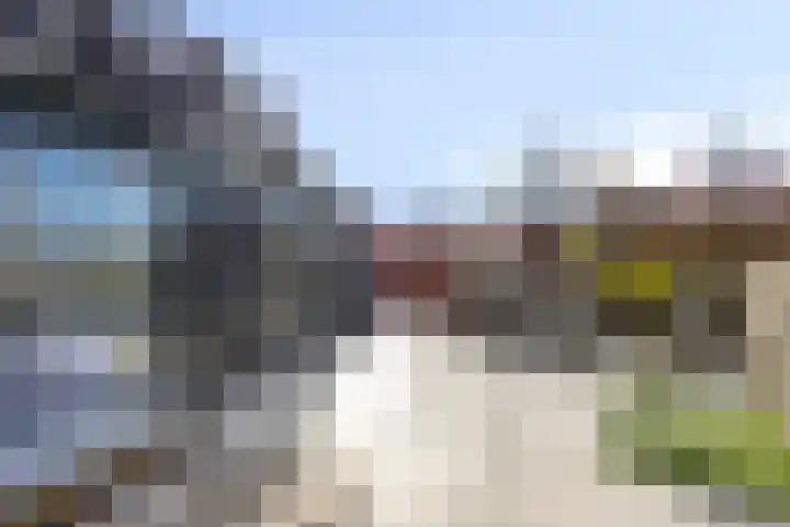 Dorpsstraat 1 Budel thumbnail 6
