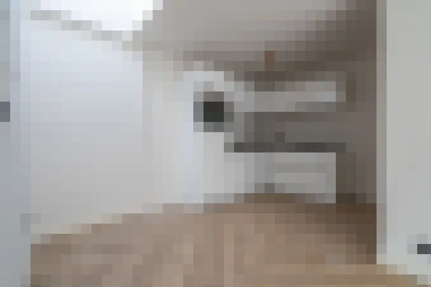 Dorpsstraat 1 c Ophemert thumbnail 12
