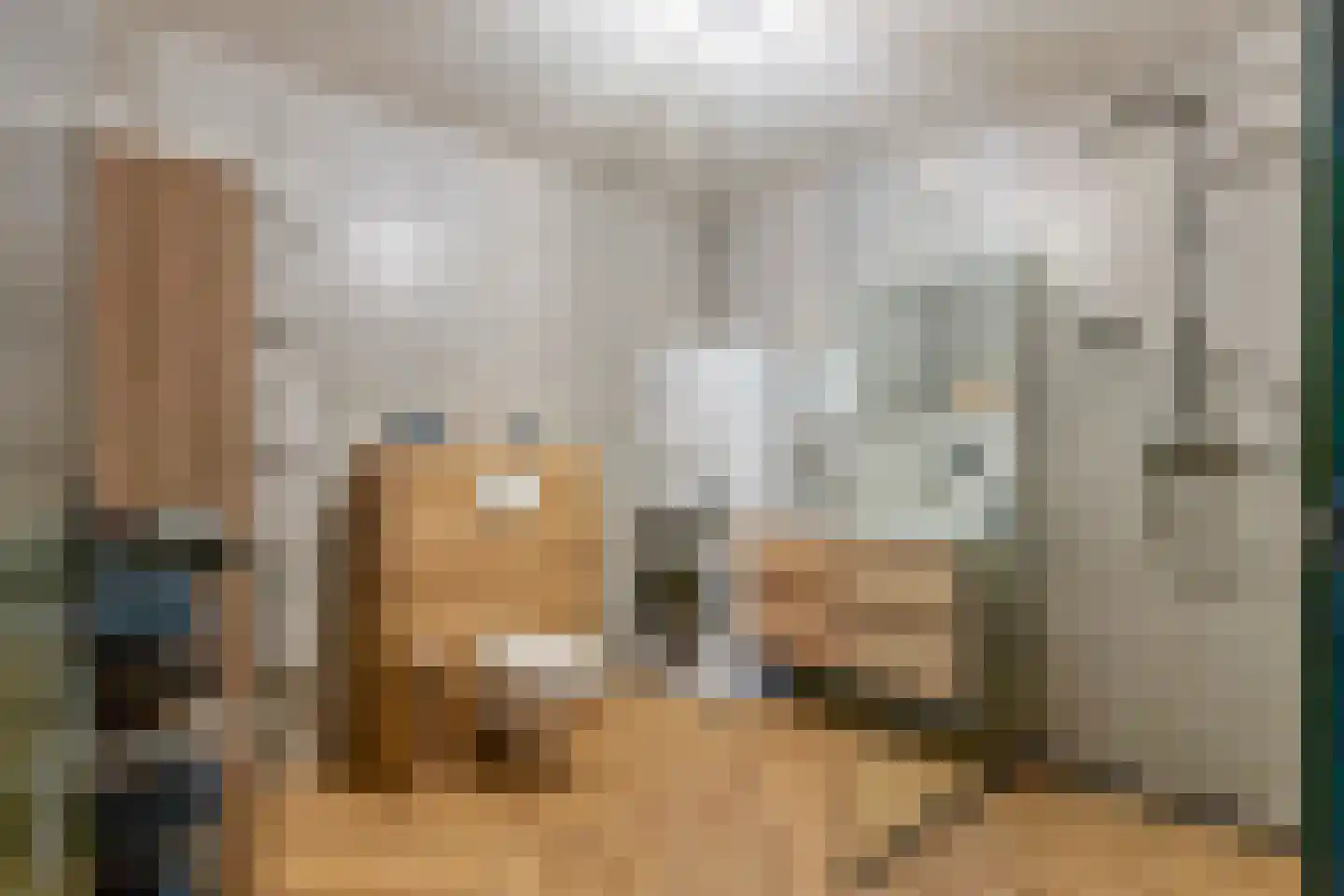 Dorpsstraat 1 c Ophemert thumbnail 18