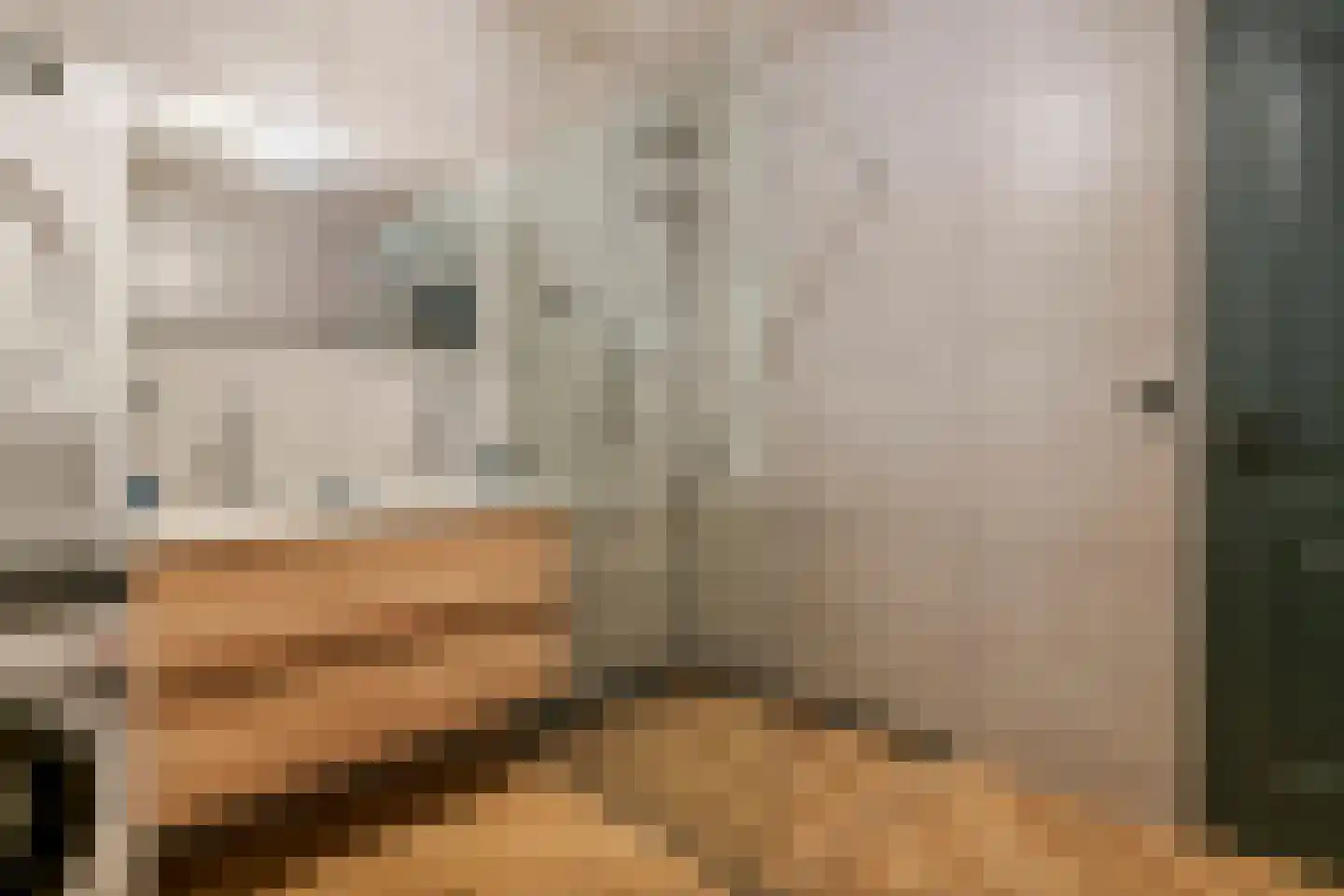 Dorpsstraat 1 c Ophemert thumbnail 19