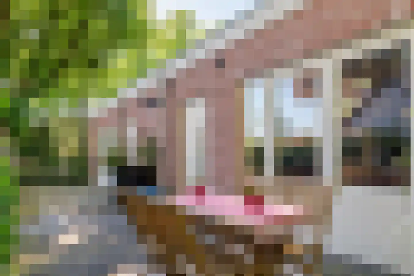 Dorpsstraat 1 c Ophemert thumbnail 23