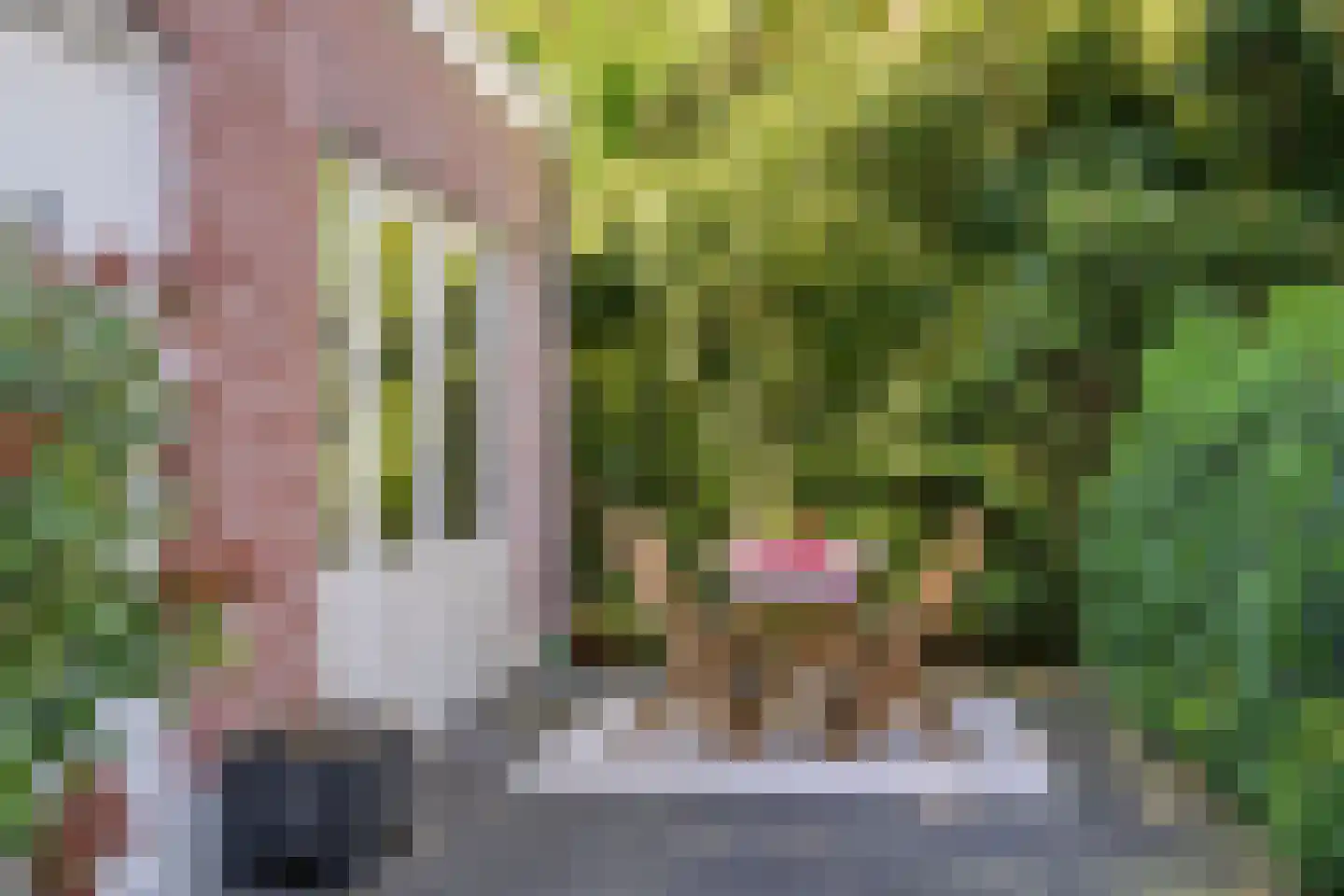 Dorpsstraat 1 c Ophemert thumbnail 24